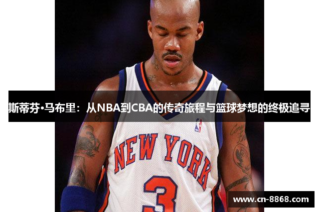 斯蒂芬·马布里：从NBA到CBA的传奇旅程与篮球梦想的终极追寻