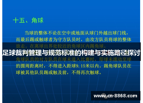足球裁判管理与规范标准的构建与实施路径探讨