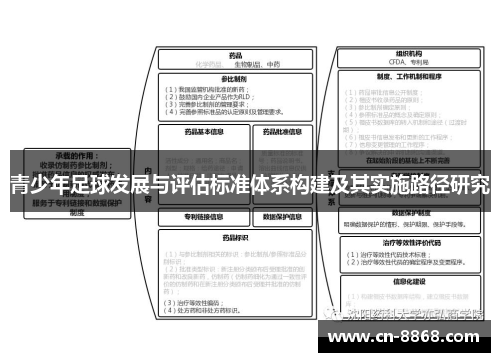 青少年足球发展与评估标准体系构建及其实施路径研究