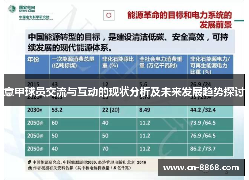 意甲球员交流与互动的现状分析及未来发展趋势探讨