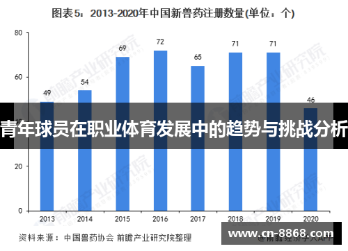 青年球员在职业体育发展中的趋势与挑战分析